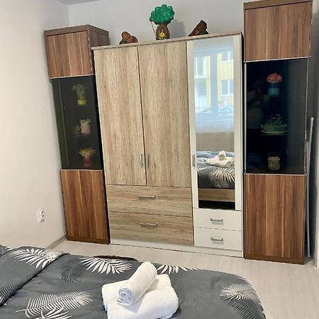 Apartament Irina Braşov Exterior foto