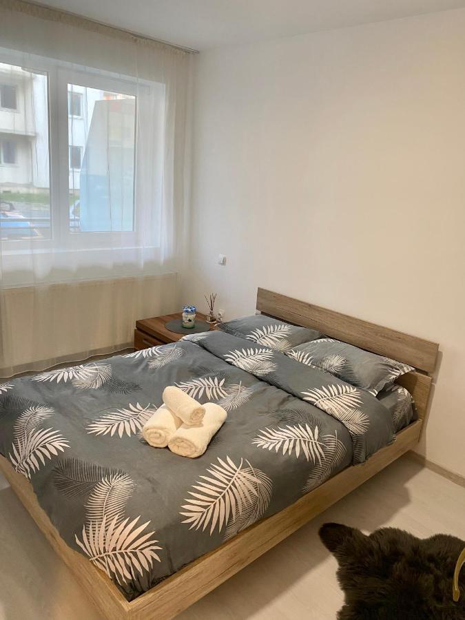 Apartament Irina Braşov Exterior foto